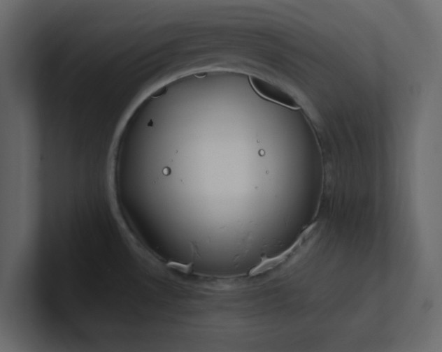 X0000101101530200807101437