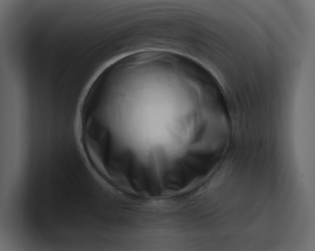 X0000101101531200807101437