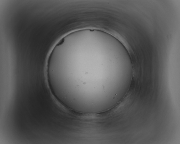 X0000101101532200807101437