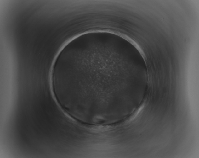 X0000101101533200807101437