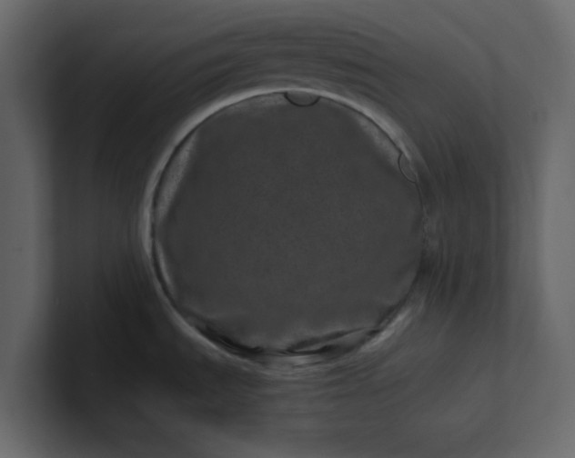 X0000101101535200807101437