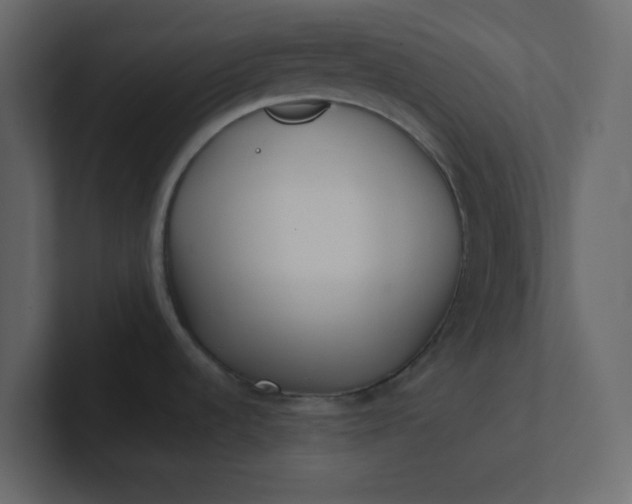 X0000101101536200807101437