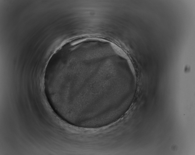 X0000101100002200807171923