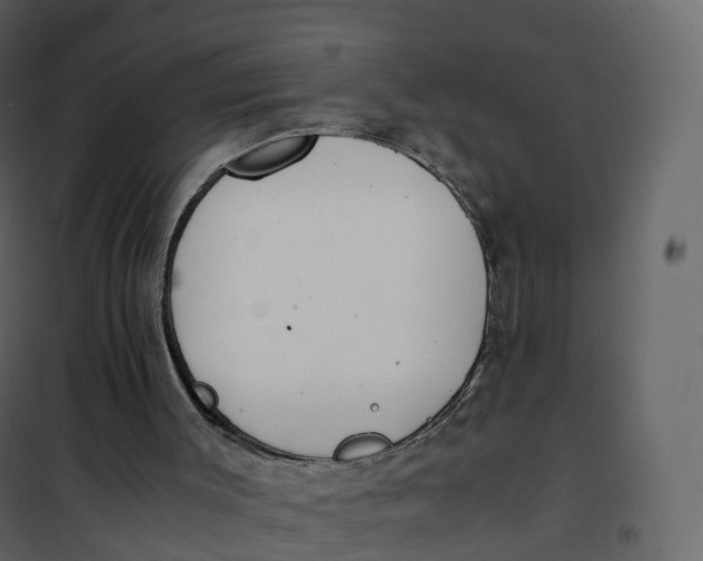 X0000101100003200807171923