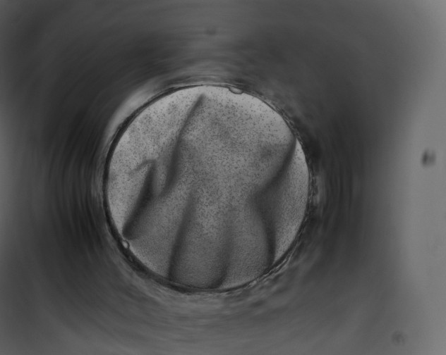X0000101100004200807171923