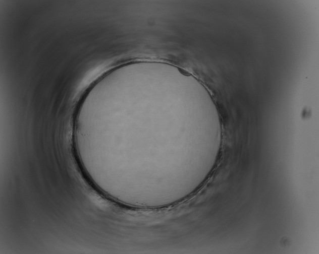 X0000101100005200807171923