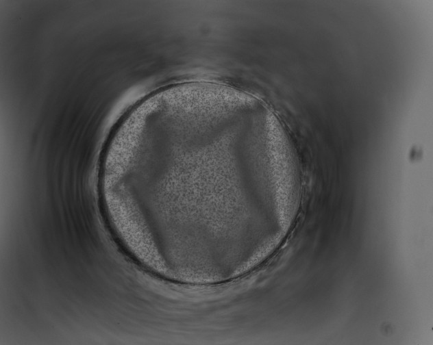 X0000101100006200807171923