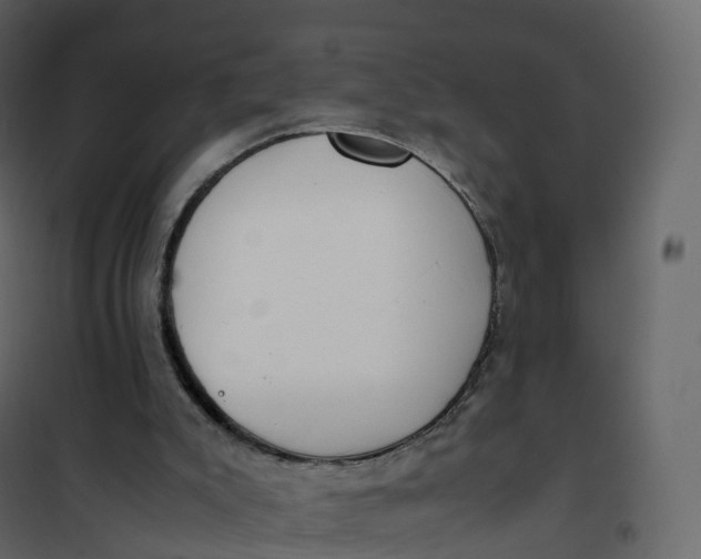 X0000101100007200807171923