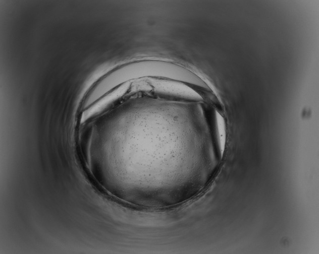 X0000101100008200807171923
