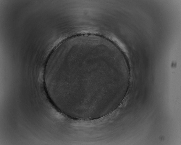 X0000101100009200807171923