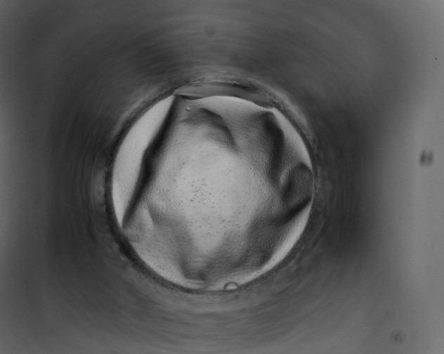 X0000101100010200807171923