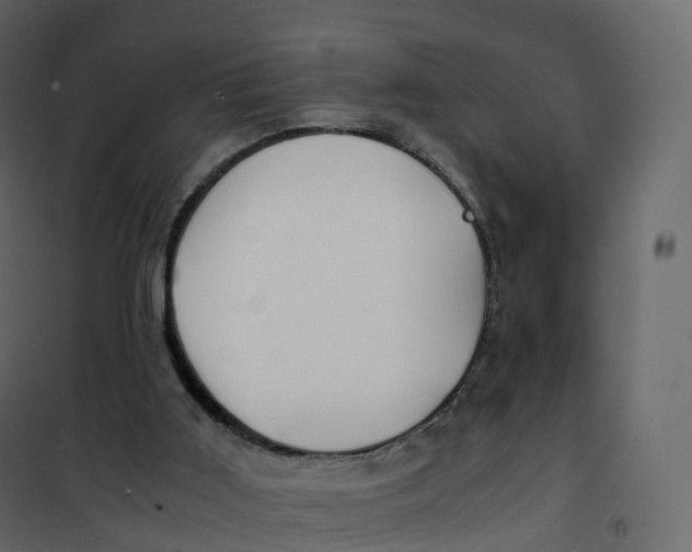 X0000101100011200807171923