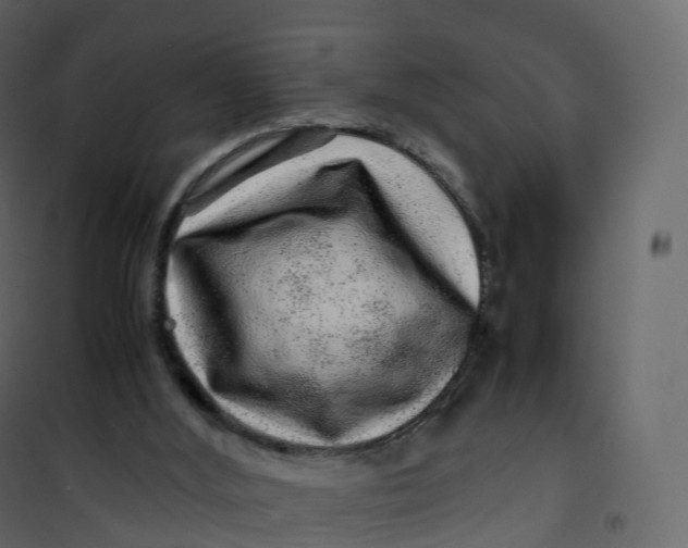 X0000101100012200807171923