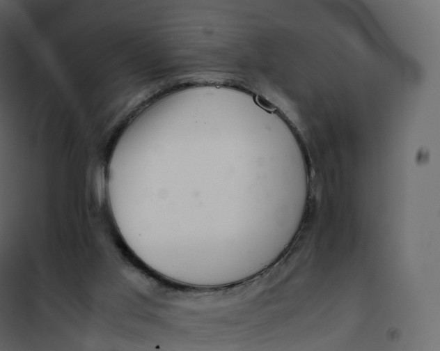 X0000101100013200807171923