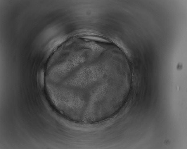 X0000101100014200807171923
