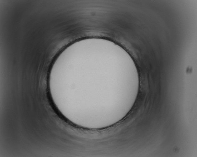 X0000101100015200807171923