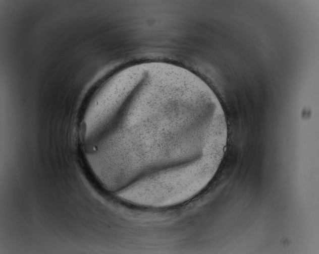 X0000101100016200807171923