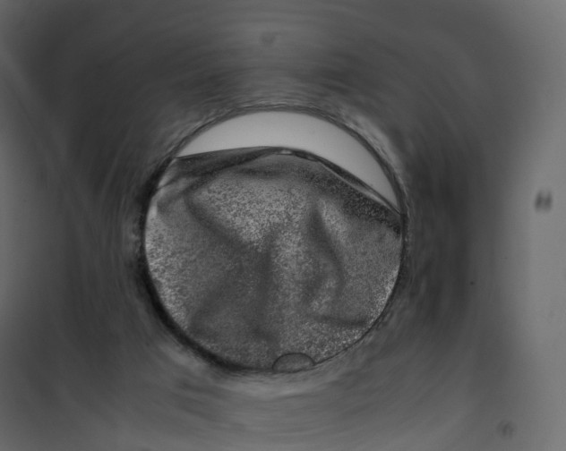 X0000101100017200807171923