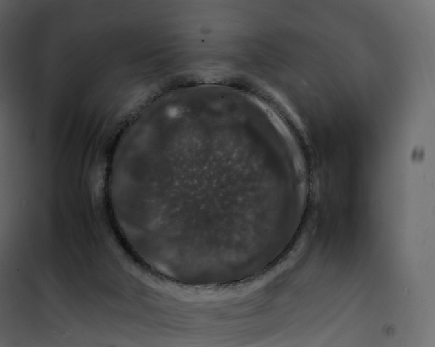 X0000101100018200807171923