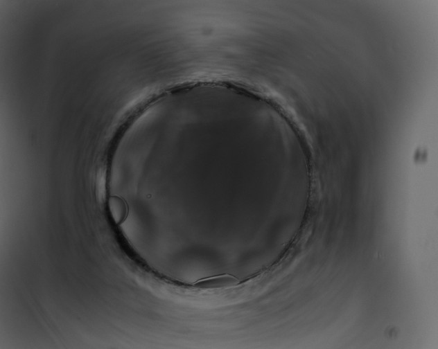 X0000101100019200807171923