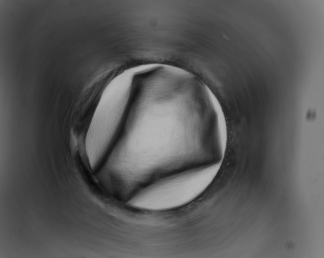 X0000101100020200807171923