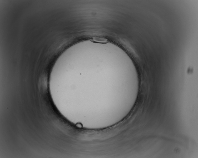 X0000101100021200807171923