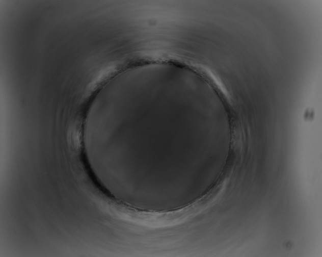 X0000101100023200807171923