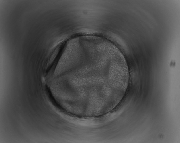 X0000101100024200807171923