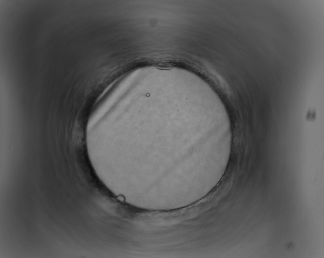 X0000101100025200807171923