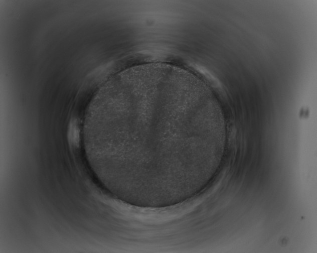 X0000101100026200807171923