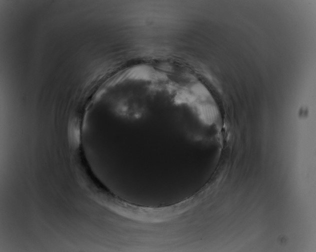 X0000101100027200807171923