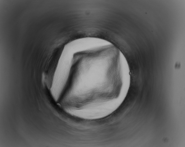 X0000101100028200807171923