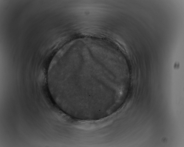 X0000101100029200807171923