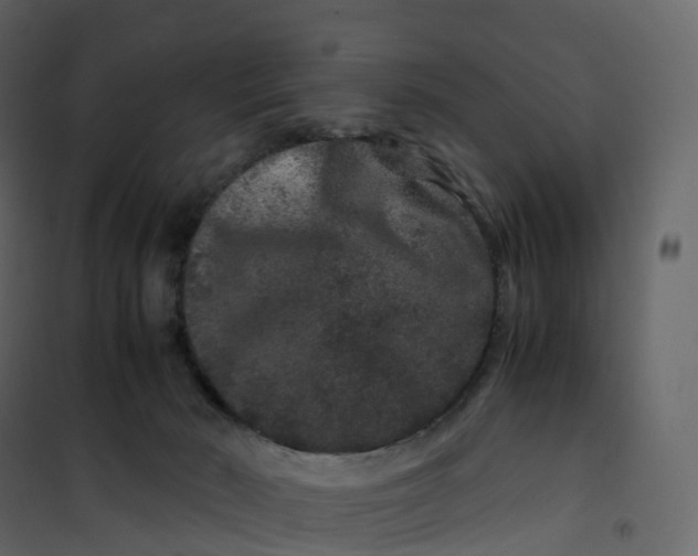 X0000101100030200807171923