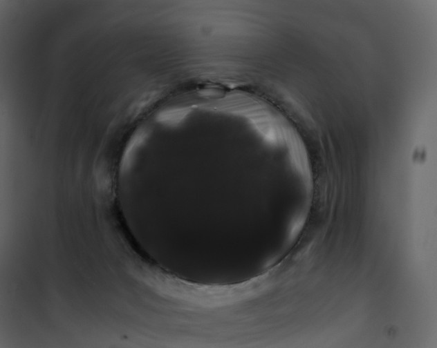 X0000101100031200807171923