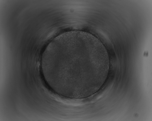 X0000101100032200807171923