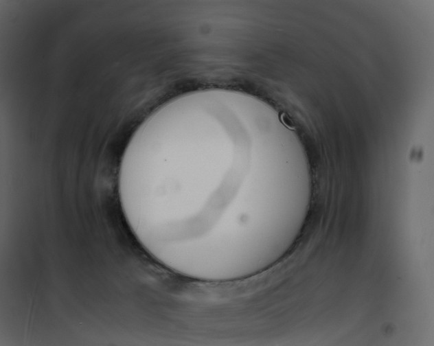 X0000101100033200807171923
