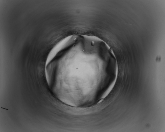 X0000101100034200807171923