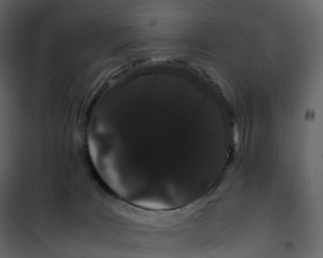 X0000101100035200807171923