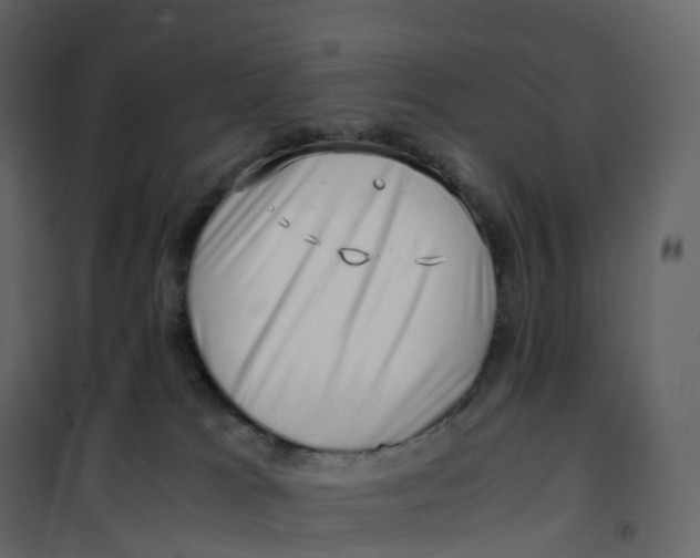 X0000101100037200807171923