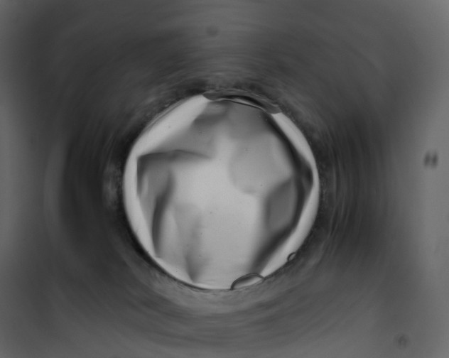X0000101100038200807171923