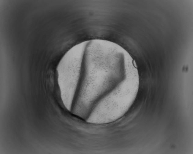 X0000101100040200807171923