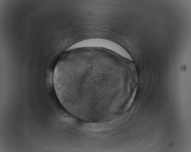 X0000101100041200807171923
