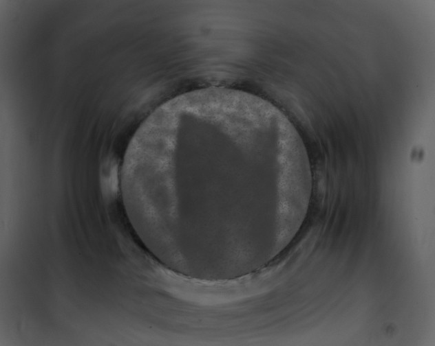 X0000101100042200807171923