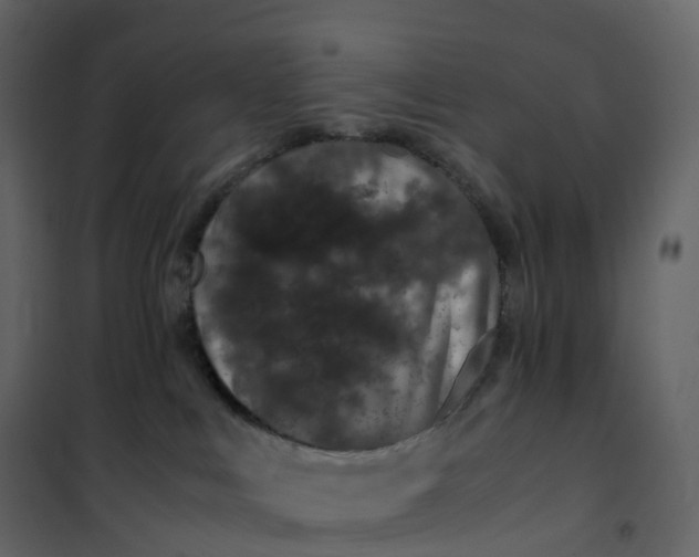X0000101100043200807171923