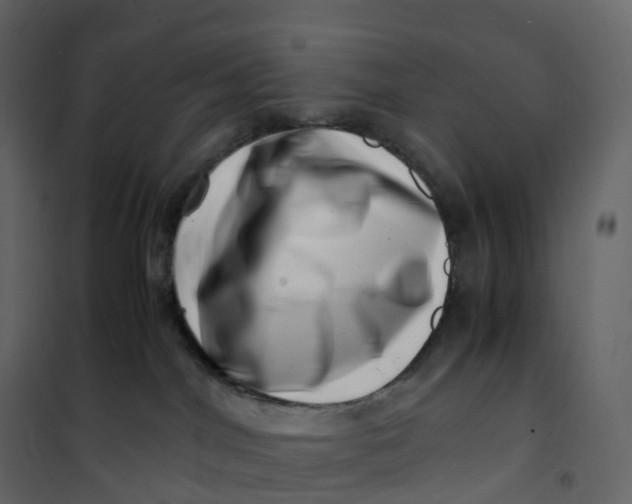 X0000101100044200807171923