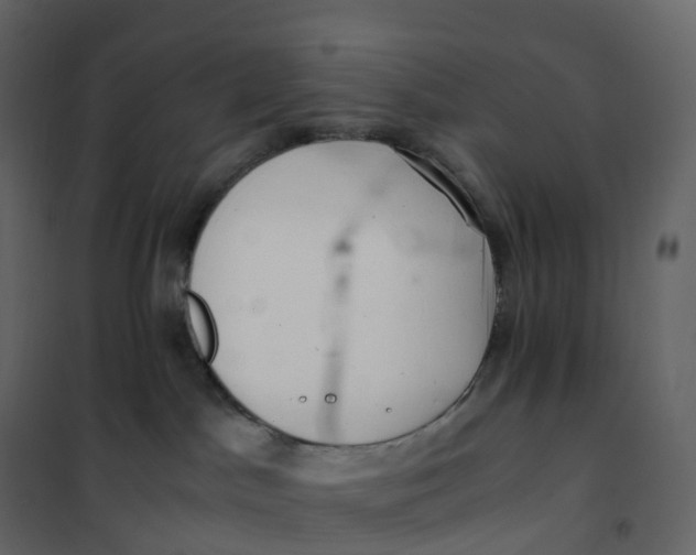 X0000101100045200807171923