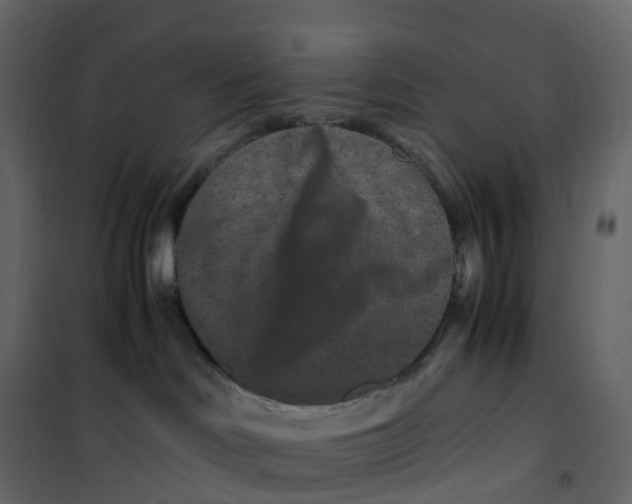 X0000101100046200807171923
