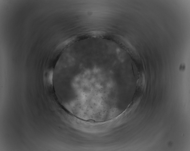 X0000101100047200807171923