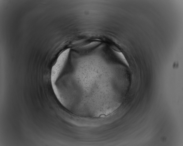 X0000101100048200807171923